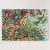 Mosses, Muscinae Laubmoose door Ernst Haeckel Legpuzzel (Horizontaal)