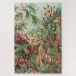 Mosses, Muscinae Laubmoose door Ernst Haeckel Legpuzzel<br><div class="desc">Muscinae Laubmoose van Ernst Haeckel  Planten Jigzaag Puzzle.</div>