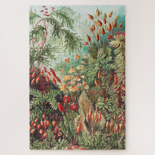 Mosses, Muscinae Laubmoose door Ernst Haeckel Legpuzzel