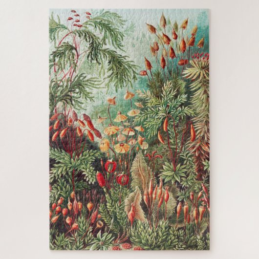 Mosses, Muscinae Laubmoose door Ernst Haeckel Legpuzzel (Verticaal)
