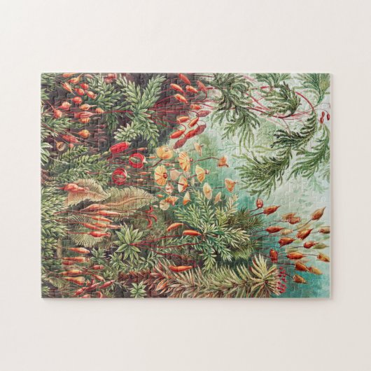 Mosses, Muscinae Laubmoose door Ernst Haeckel Legpuzzel (Horizontaal)