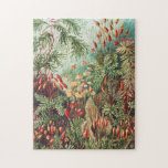 Mosses, Muscinae Laubmoose door Ernst Haeckel Legpuzzel<br><div class="desc">Muscinae Laubmoose van Ernst Haeckel Planten Jigzaag Puzzle.</div>