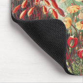 Mosses, Muscinae Laubmoose door Ernst Haeckel Muismat (Hoek)