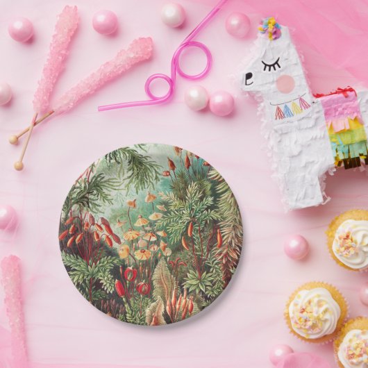 Mosses, Muscinae Laubmoose door Ernst Haeckel Papieren Bordje (Feest)