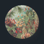 Mosses, Muscinae Laubmoose door Ernst Haeckel Papieren Bordje<br><div class="desc">Muscinae Laubmoose van Ernst Haeckel  Plant Paper Bord</div>
