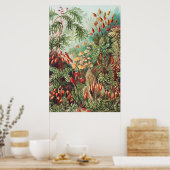 Mosses, Muscinae Laubmoose door Ernst Haeckel Poster (Keuken)