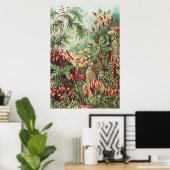 Mosses, Muscinae Laubmoose door Ernst Haeckel Poster (Thuiskantoor)