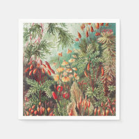 Mosses, Muscinae Laubmoose door Ernst Haeckel