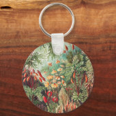 Mosses, Muscinae Laubmoose door Ernst Haeckel Sleutelhanger (Voorkant)