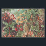 Mosses, Muscinae Laubmoose door Ernst Haeckel Tissuepapier<br><div class="desc">Muscinae Laubmoose van Ernst Haeckel  Planten Weefpapier</div>