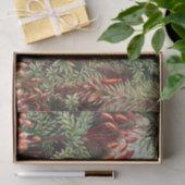 Mosses, Muscinae Laubmoose door Ernst Haeckel Tissuepapier (Geschenk)