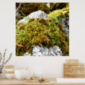 Mosses Poster (Keuken)