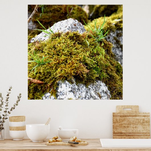 Mosses Poster (Keuken)