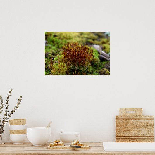 Mosses Poster (Keuken)