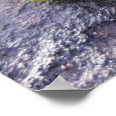 Mosses Poster (Hoek)