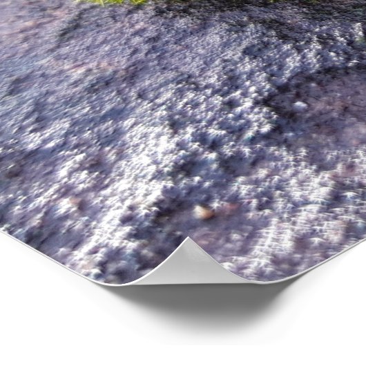 Mosses Poster (Hoek)