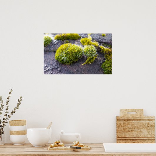Mosses Poster (Keuken)