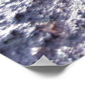 Mosses Poster (Hoek)