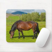 Mossfellsbaer IJslands paard Muismat (Met muis)