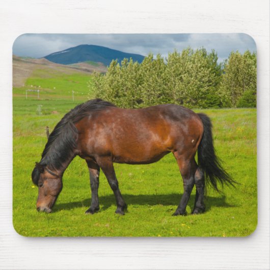 Mossfellsbaer IJslands paard Muismat (Voorkant)