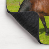 Mossfellsbaer IJslandse paarden Muismat (Hoek)