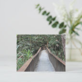 Mossman Gorge - Queensland Australië Briefkaart (Staand voorkant)