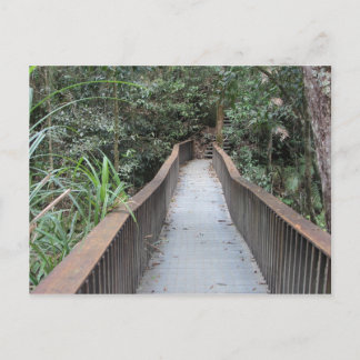 Mossman Gorge - Queensland Australië Briefkaart