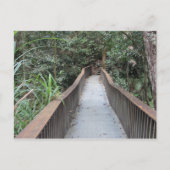 Mossman Gorge - Queensland Australië Briefkaart (Voorkant)