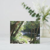 Mossman Gorge, Queensland - Briefkaart (Staand voorkant)