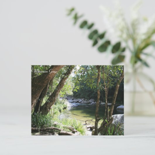 Mossman Gorge, Queensland - Briefkaart (Staand voorkant)
