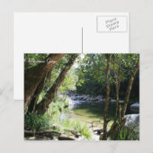 Mossman Gorge, Queensland - Briefkaart (Voorkant / Achterkant)