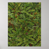 Mossmotief poster (Voorkant)