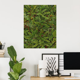 Mossmotief poster