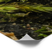 Mossmotief poster (Hoek)