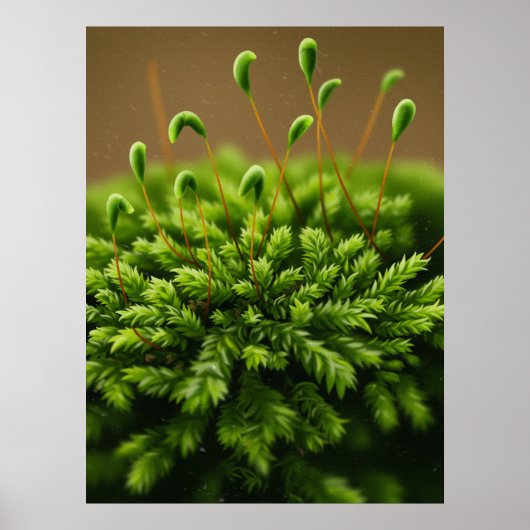 Mossmotief poster (Voorkant)