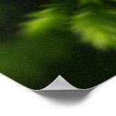 Mossmotief poster (Hoek)