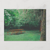  Mossy Bench Briefkaart (Voorkant)