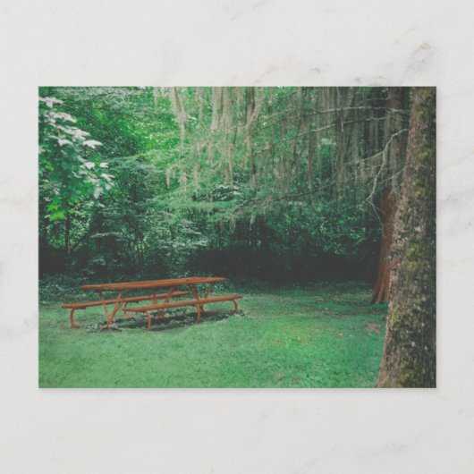  Mossy Bench Briefkaart (Voorkant)