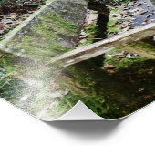 Mossy Bench Natuur Trail in Olympisch Nationaal Pa Foto Afdruk (Hoek)