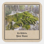 Mossy Broken Headstone Bookplaat Vierkante Sticker (Voorkant)