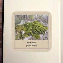 Mossy Broken Headstone Bookplaat