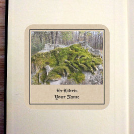 Mossy Broken Headstone Bookplaat Vierkante Sticker
