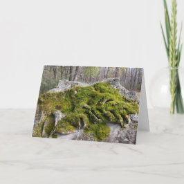 Mossy Broken Headstone Kaart