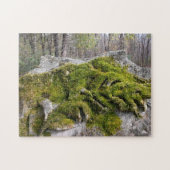 Mossy Broken Headstone Legpuzzel (Horizontaal)