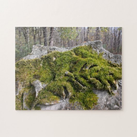 Mossy Broken Headstone Legpuzzel (Horizontaal)
