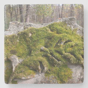 Mossy Broken Headstone Stenen Onderzetter