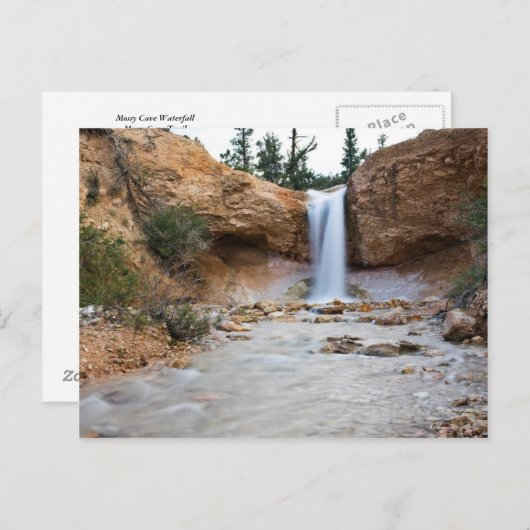 Mossy Cave Waterfall Briefkaart (Voorkant / Achterkant)