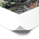 Mossy Forest Poster (Hoek)