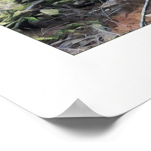 Mossy Forest Poster (Hoek)