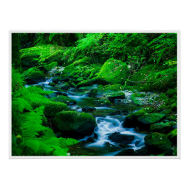 Mossy Forest Stream in Killarney National Park Perfect Poster